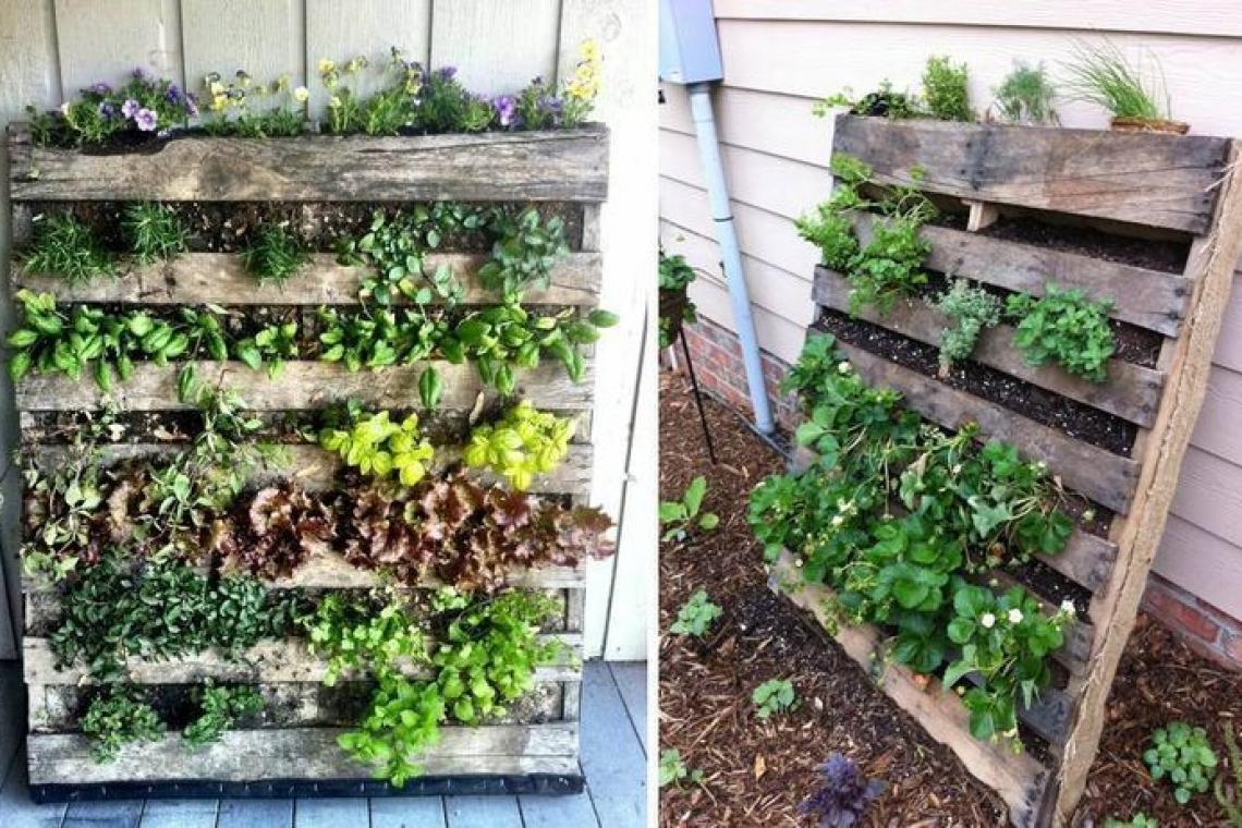  Comienza el ciclo de talleres «ABC de la Huerta en Casa»