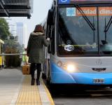 ¿Cómo funciona el transporte y cómo se podrá circular en esta semana de aislamiento?