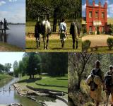 El turismo que viene: las comunidades rurales se preparan para los visitantes