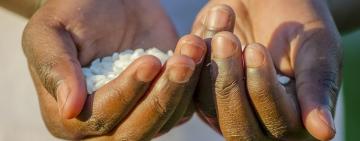 La FAO advierte que en 2030 habrá 67 millones de personas con hambre en América Latina