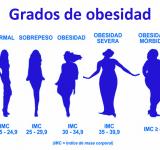 La obesidad como factor de riesgo del covit19