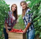 Las mujeres rurales reinventan sus emprendimientos para sortear la pandemia