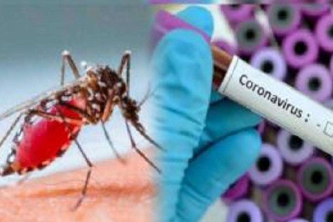Dengue y Covid 19: semejanzas y diferencias de dos enfermedades de gran compromiso social