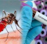 Dengue y Covid 19: semejanzas y diferencias de dos enfermedades de gran compromiso social