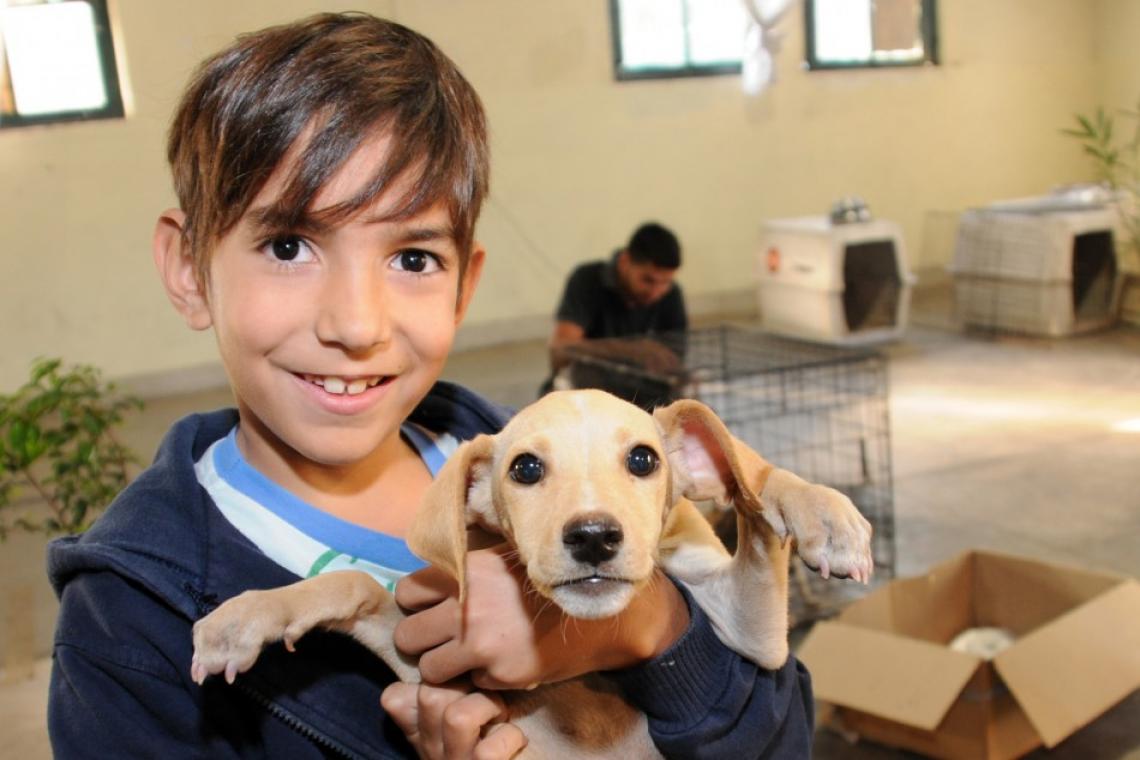 El Imusa refuerza su campaña de adopción permanente y brinda recomendaciones para las fiestas
