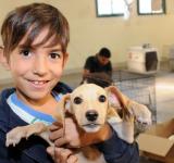 El Imusa refuerza su campaña de adopción permanente y brinda recomendaciones para las fiestas