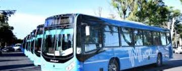 Se inicia la adecuación del Sistema de Transporte Urbano de Pasajeros