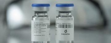 Comienza la distribución del suero equino hiperinmune desarrollado en Argentina