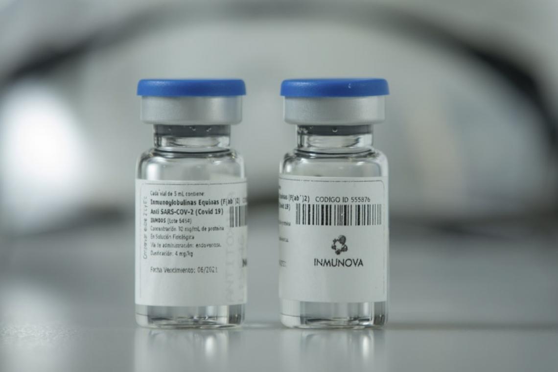 Qué es, cómo funciona y a quiénes beneficia el suero equino hiperinmune contra el Covid-19