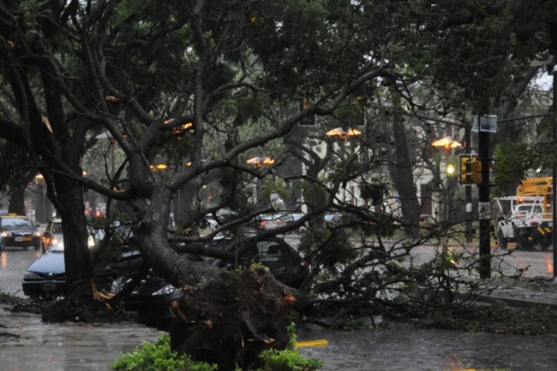 Alerta metereológica: el municipio brinda recomendaciones ante tormentas fuertes