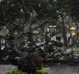 Alerta metereológica: el municipio brinda recomendaciones ante tormentas fuertes