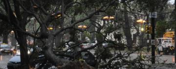 Alerta metereológica: el municipio brinda recomendaciones ante tormentas fuertes