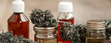 El Gobierno reglamentó el registro de autocultivo de cannabis medicinal