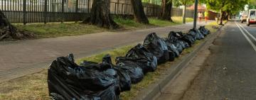 El municipio se anticipa al otoño y refuerza las tareas de barrido