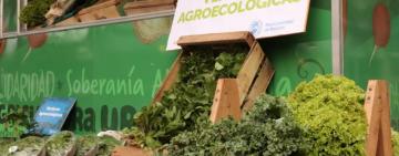 Biomercado especial: El fin de semana de Pascua vuelve a instalarse en la plaza Suecia