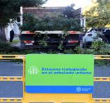 Arbolado: el plan de poda municipal alcanzará a 40.000 ejemplares en toda la ciudad