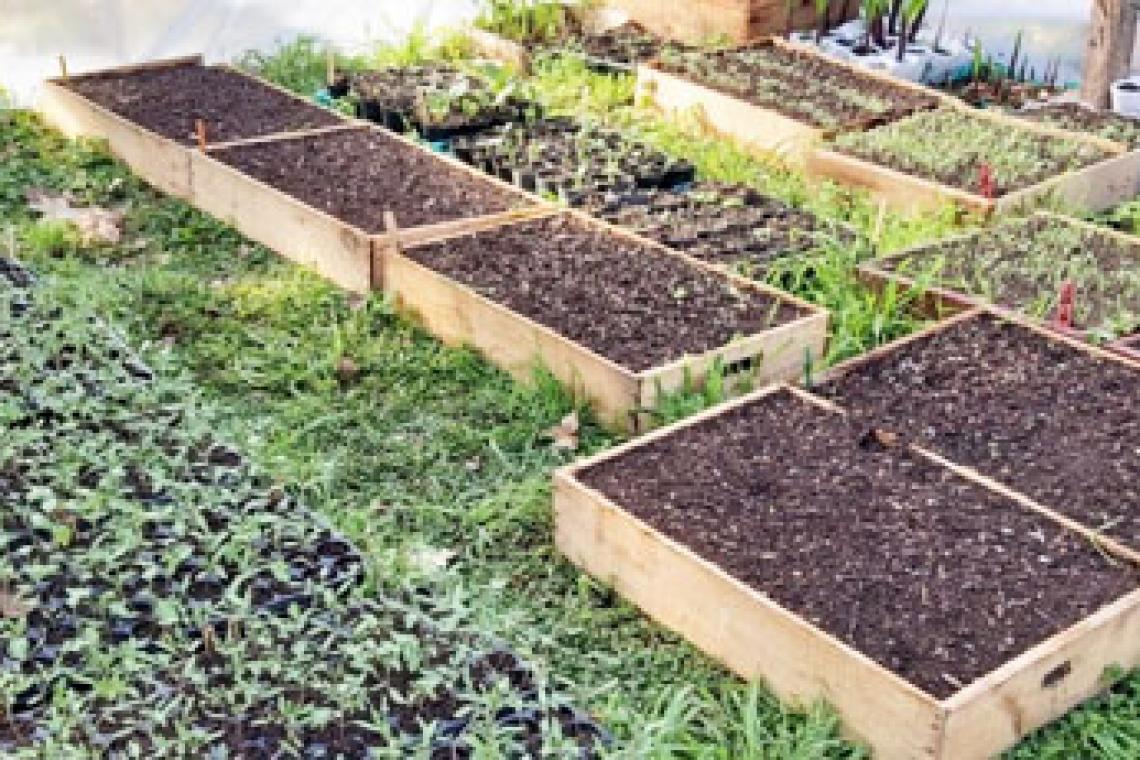 El municipio suma iniciativas para fortalecer la producción agroecológica en la ciudad