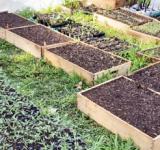 El municipio suma iniciativas para fortalecer la producción agroecológica en la ciudad