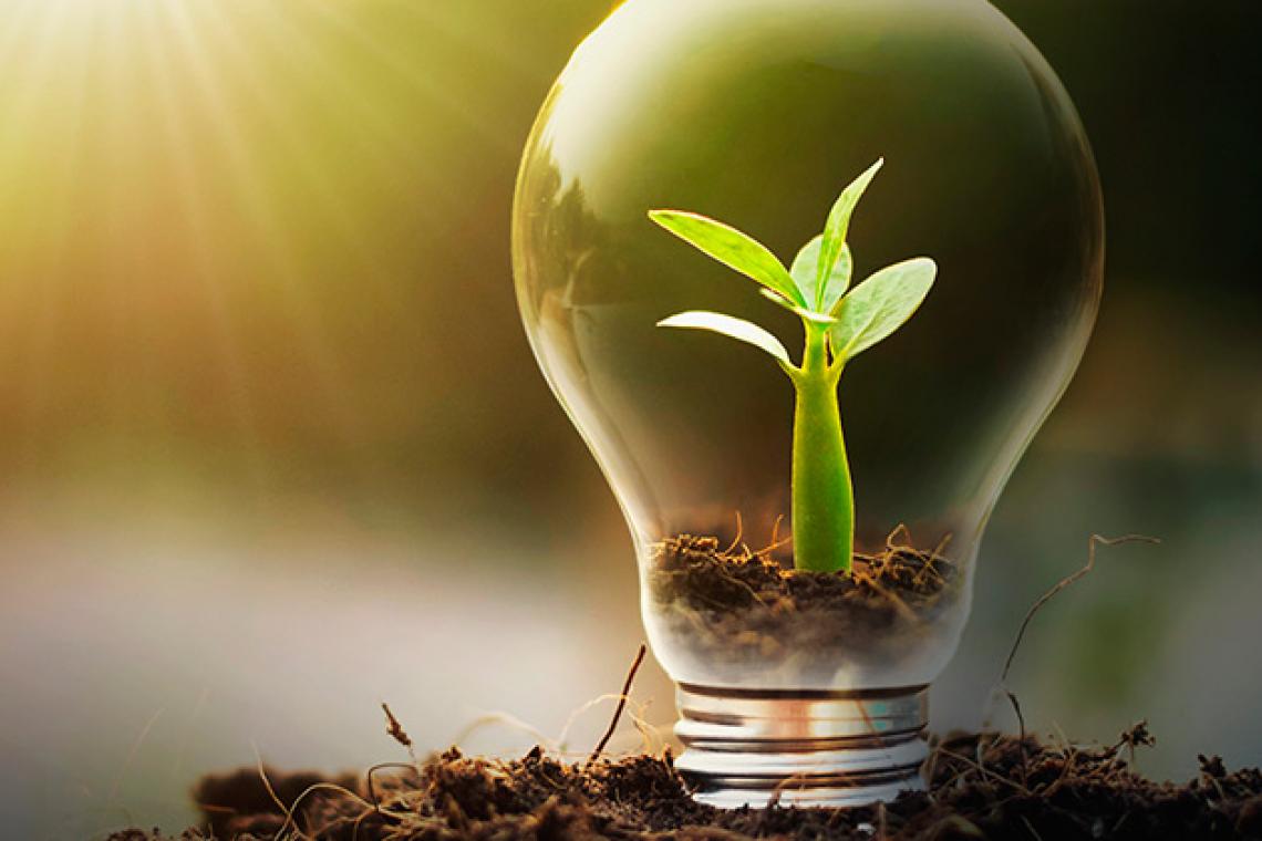 Rosario avanza hacia el uso de energías 100% renovables