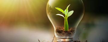 Rosario avanza hacia el uso de energías 100% renovables
