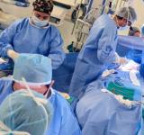  ¿Qué cirugías se pueden programar y cuáles no?