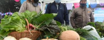 Rosario cuenta con Puntos de Venta Verdes para comprar verduras y frutas agroecológicas