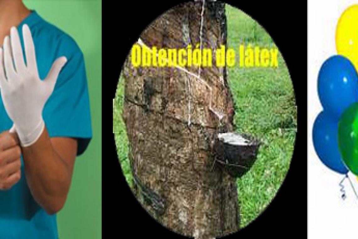 Alergia al látex: más frecuente en mujeres