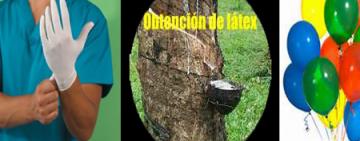 Alergia al látex: más frecuente en mujeres