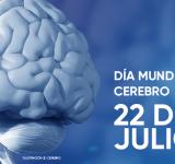 Día mundial del cerebro: ¿Cómo cuidarlo?