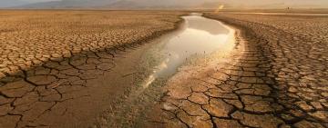 Cuáles son las causas del incremento de las lluvias torrenciales, olas de calor y sequías
