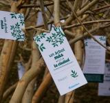 Rosario celebra el Mes del Árbol con múltiples actividades