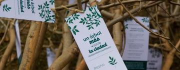 Rosario celebra el Mes del Árbol con múltiples actividades