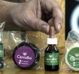 Entusiasmo en las provincias por las oportunidades que arroja el cannabis medicinal