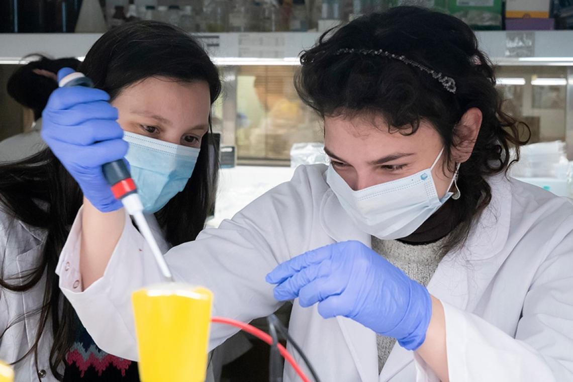 Cómo actúa la vacuna argentina que demostró alta efectividad con una sola dosis