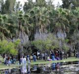 El Bosque de los Constituyentes recibe la primavera con un abanico de actividades ambientales