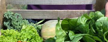 Rosario celebra la Semana de la Agricultura Urbana