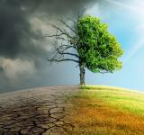 El Municipio abre la convocatoria para participar de la Feria de Ideas para la Acción Climática