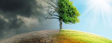 El Municipio abre la convocatoria para participar de la Feria de Ideas para la Acción Climática