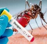 El municipio inició los operativos de prevención del dengue