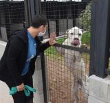 Se inició el traslado de los perros del IMUSA al Centro de Adopción Municipal
