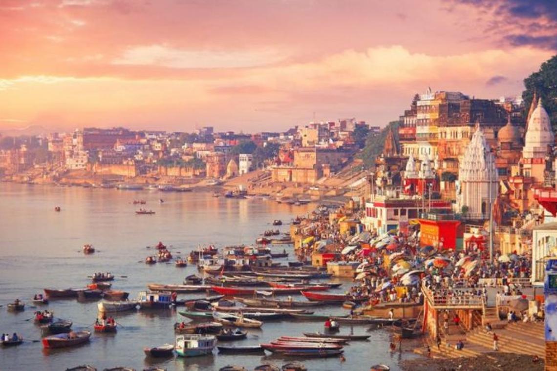 La ciudad que es un paraíso vegetariano y donde la ley prohíbe servir carne