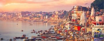 La ciudad que es un paraíso vegetariano y donde la ley prohíbe servir carne