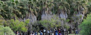 Rosario une el Autódromo con el Bosque de los Constituyentes