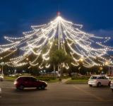 Rosario pidió paz: Con un imponente mensaje se encendieron las luces del tradicional árbol de Navidad