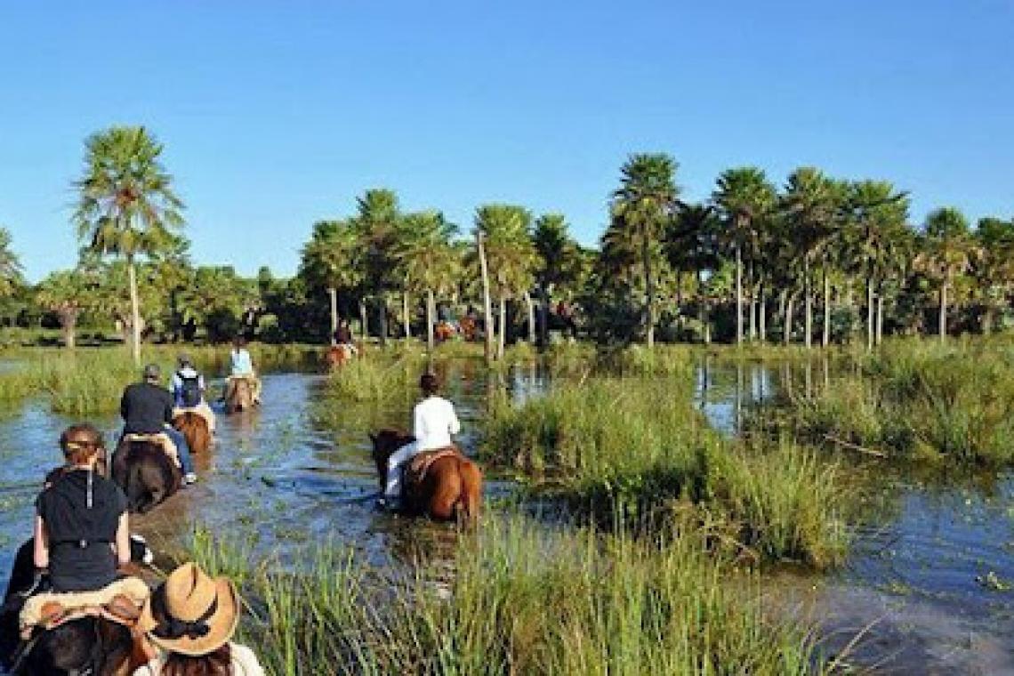 Rosario adhiere al Día Mundial del Agua