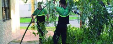 El municipio realiza tareas de normalización luego de la tormenta