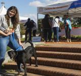Canje de reciclables: Se recolectaron 900 kilos en el Parque Alem
