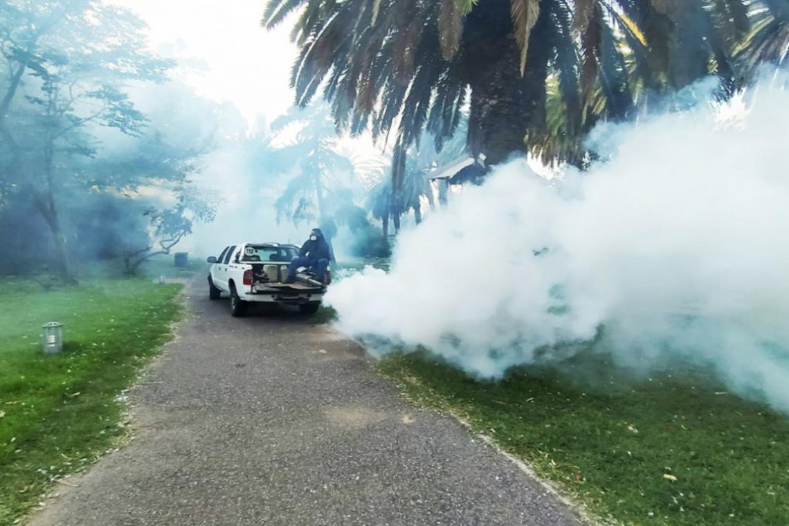 El municipio realizará un nuevo operativo de fumigación en espacios verdes