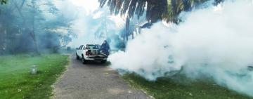 El municipio realizará un nuevo operativo de fumigación en espacios verdes