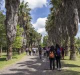 Se viene la Semana del Ambiente con actividades abiertas para todo público